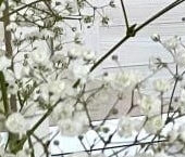 Сдать в аренду Квартиры вторичка улица Тосина, 6   