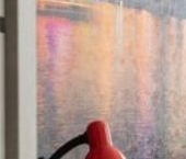 Сдать в аренду Квартиры вторичка Кронштадт, улица Карла Маркса, 4/11   