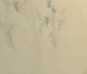 Продать Квартиры вторичка Новочеркасский бульвар, 36   