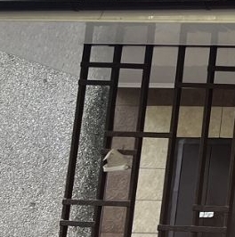 Аренда 2-комн квартиры на вторичном рынке Кировоградская улица, 10К2 Аренда 2-комн квартиры на вторичном рынке Кировоградская улица, 10К2