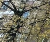 Продать Квартиры вторичка проспект Маршала Жукова, 33К1   