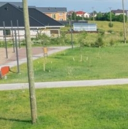 Продажа земли д. Горки (Веревское территориальное управление), улица Благодатная