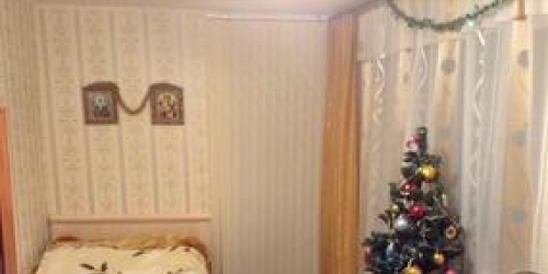1-комн квартира Барыбина шоссе,  д. 10
