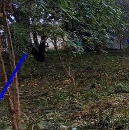 Продажа земли Лесопромышленный Комбинат Ленметростроя СНТ Продажа земли Лесопромышленный Комбинат Ленметростроя СНТ