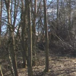 Продажа земли Захожье-2 садоводческий массив, Захожье-5 СНТ Продажа земли Захожье-2 садоводческий массив, Захожье-5 СНТ