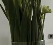 Продать Квартиры вторичка Мосфильмовская улица, 8   