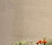 Продать Квартиры вторичка пос. Шушары, улица Окуловская, 13   