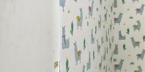 2-комн квартира Малая Охта тер., улица Казанская, 18