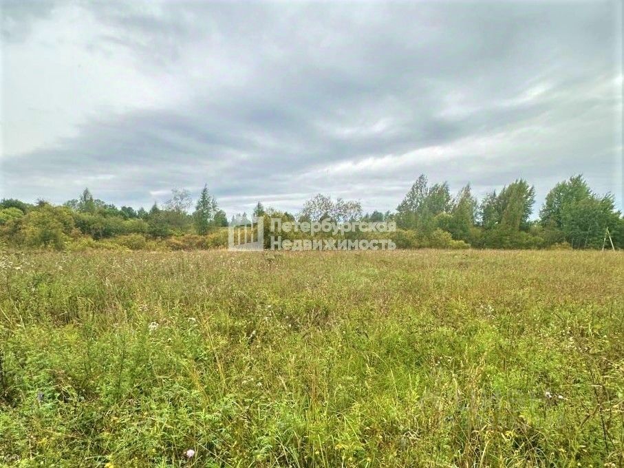 Продажа земли д. Муя, улица Центральная