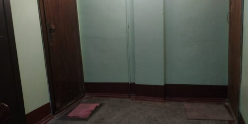 1-комн квартира Павловск г., Лебединая ул. ,  д. 20