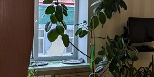 4-комн квартира переулок Гривцова, 3