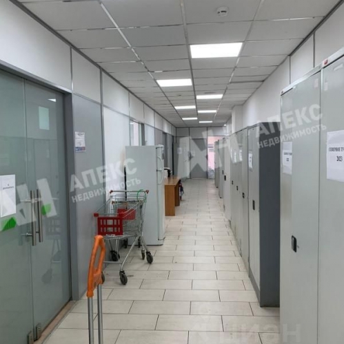 Офис Дубечино, Центральная улица