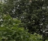 Продать Квартиры вторичка пос. Тельмана, 42   