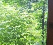 Продать Квартиры вторичка Медынская улица, 14К1   