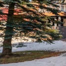 Продажа дома пос. Ландышевка, проезд Пирсовый Продажа дома пос. Ландышевка, проезд Пирсовый