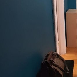 Аренда 2-комн квартиры на вторичном рынке улица Елены Колесовой, 5