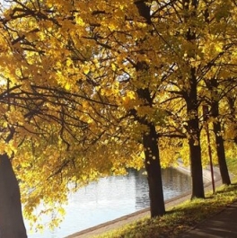 Продажа 3-комн квартиры на вторичном рынке Фестивальная ул,  д. 15 к2