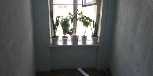 2-комн квартира Пушкин г., Саперная ул. ,  д. 51