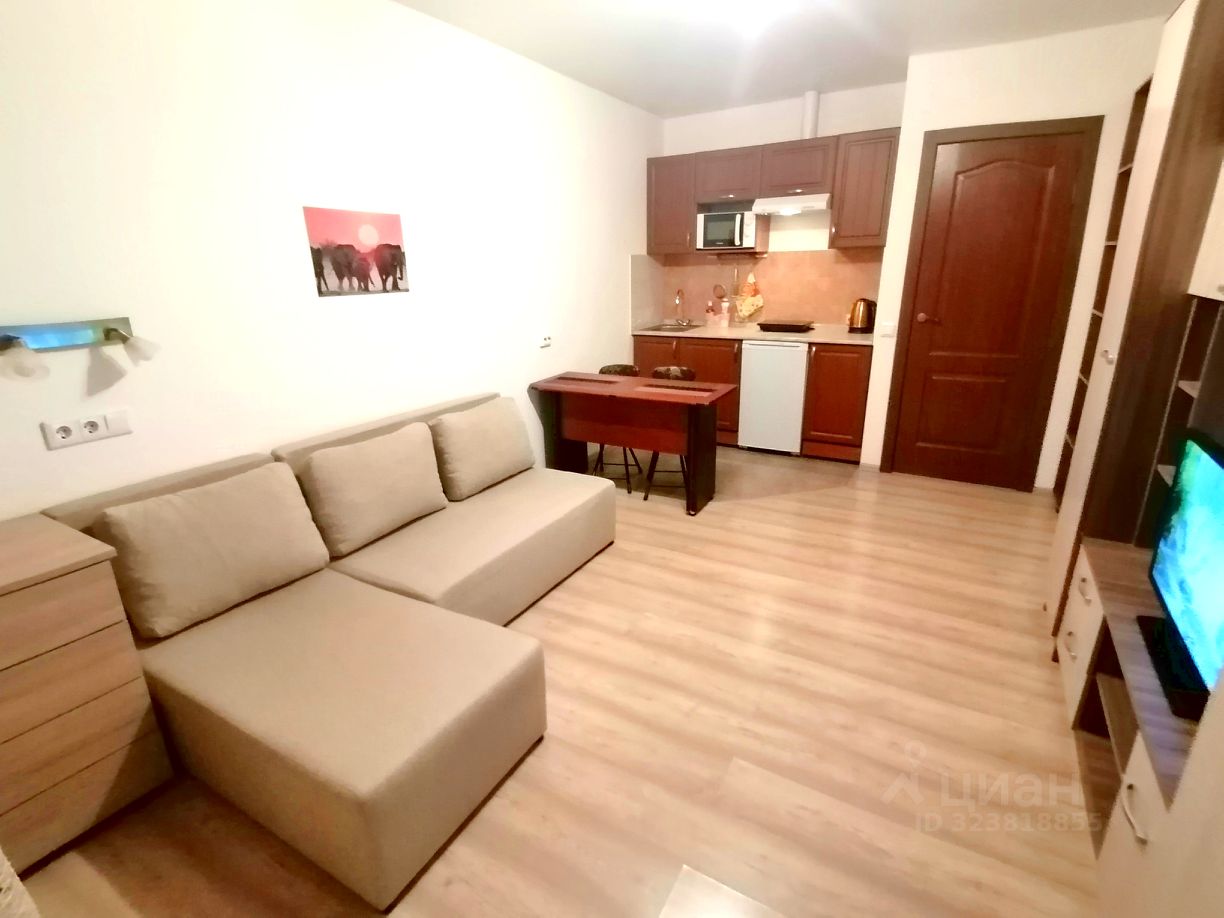 Аренда студии Мурино, проспект Авиаторов Балтики, 11/1