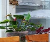 Продать Дачи, коттеджи, загородные дома пос. Парголово, Климовец СНТ, улица Рябиновая  87 