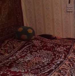 Продажа дома Борисова Грива садоводческий массив, Магнетон СНТ, улица Зеленая