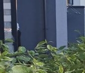 Продать Квартиры вторичка улица Генерала Кравченко, 5к2   