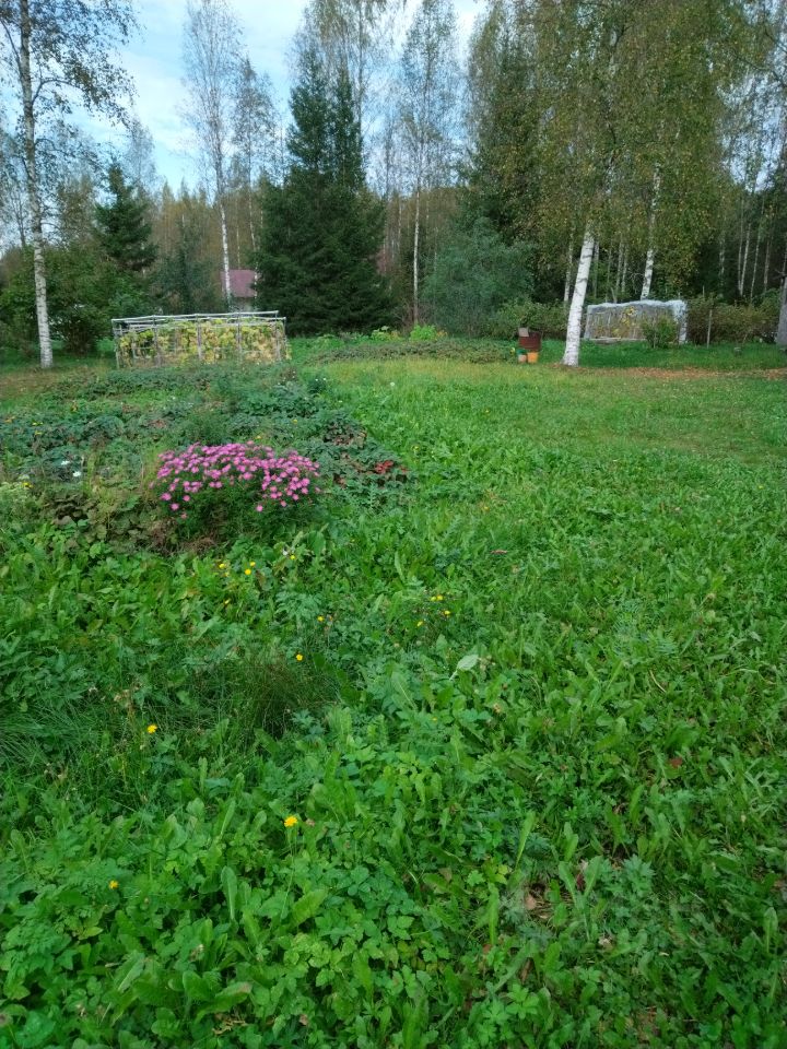 Продажа земли Спутник-2 СНТ