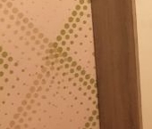 Сдать в аренду Квартиры вторичка Новгородская улица, 22К1   