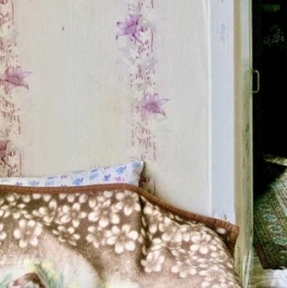 Продажа 2-комн квартиры на вторичном рынке Черского проезд, д. 9 Продажа 2-комн квартиры на вторичном рынке Черского проезд, д. 9