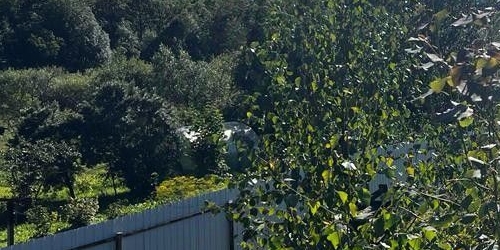 Коттедж/дом Красное Село, проспект Красных Командиров, 99