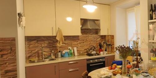 2-комн квартира Светлановский проспект, 53