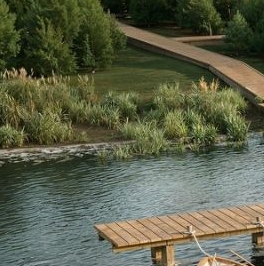 Продажа земли пос. Тарасово, переулок Монетный Продажа земли пос. Тарасово, переулок Монетный