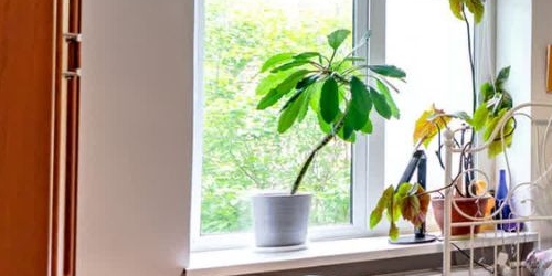 2-комн квартира Пушкин, Прямой переулок, 1