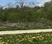 Продать Земельные участки, земля д. Вайя, улица Полевая   