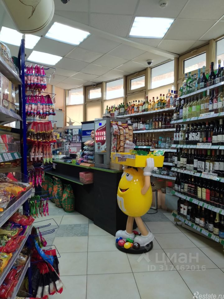 Аренда ПСН Светланова ул