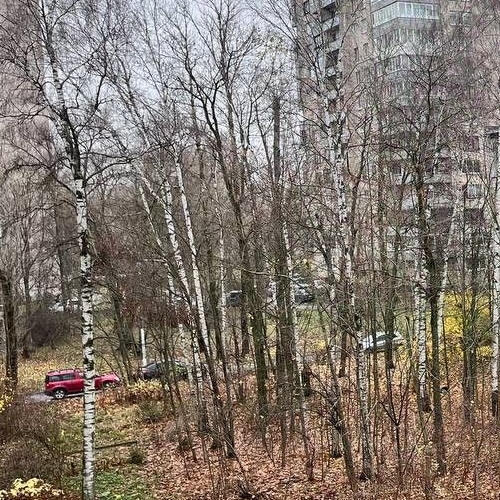 1-комн квартира Витебский проспект, 31К4