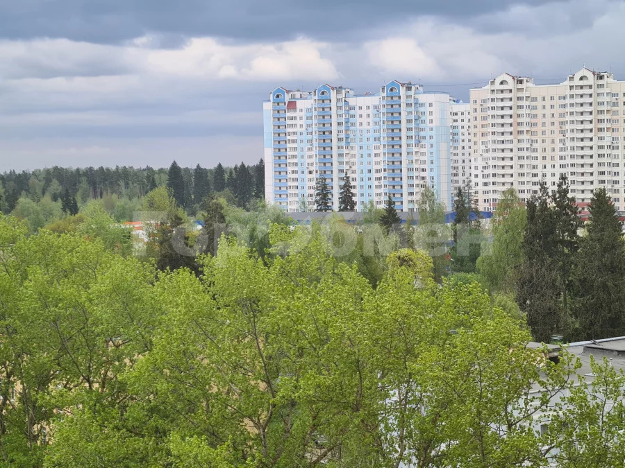 1-комн квартира Краснознаменск, Парковая улица