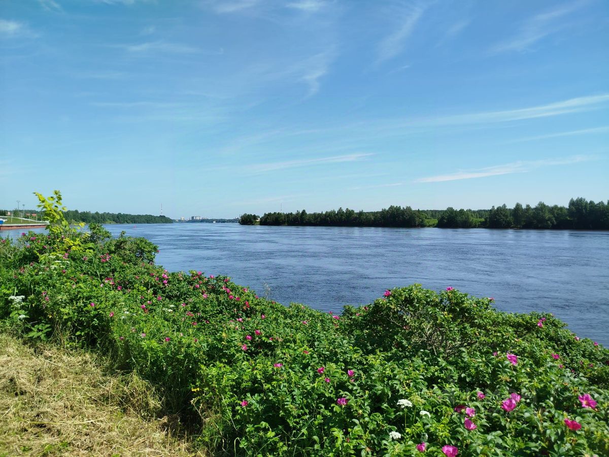 Продажа земли Поляна СНТ, улица Изумительная,  д. 43