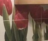 Продать Квартиры вторичка Петергоф, Ботаническая улица, 18к1   