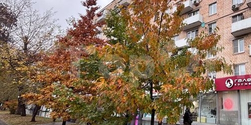 Студия Большая Черкизовская улица, 5К1