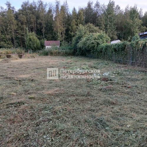 Земельный участок Новая Ладога г, СНТ Нептун тер