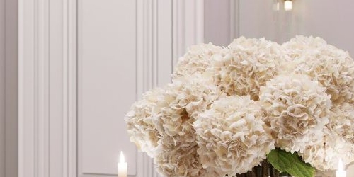 Студия Хитровский переулок, 3/1С2