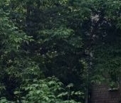 Продать Квартиры вторичка Мытищи, улица Матросова, 5   