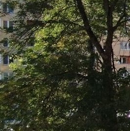 Продажа 1-комн квартиры на вторичном рынке Светлановский проспект, 101 Продажа 1-комн квартиры на вторичном рынке Светлановский проспект, 101