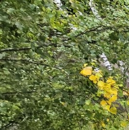 Продажа 3-комн квартиры на вторичном рынке Долгопрудный, Театральная улица, 12