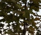 Продать Квартиры вторичка Новосмоленская набережная, 8   