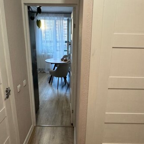 1-комн квартира Пискаревский пр-кт,  д. 27,  к. 2