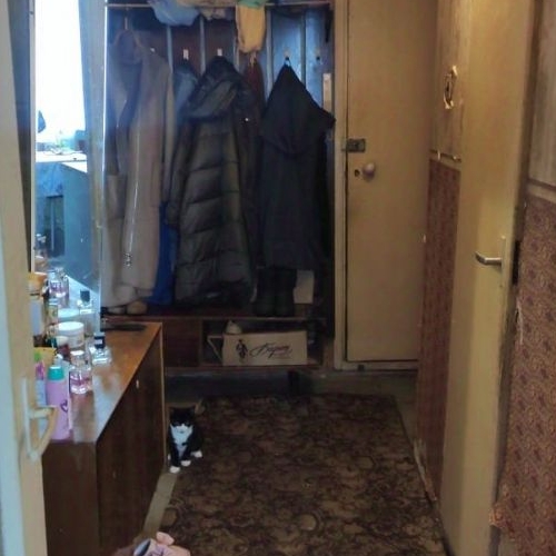 1-комн квартира д. Батово, 5