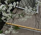 Продать Квартиры вторичка улица Молостовых, 19К1   