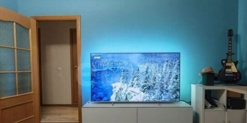 1-комн квартира Космонавтов пр-кт,  д. 65,  к. 10